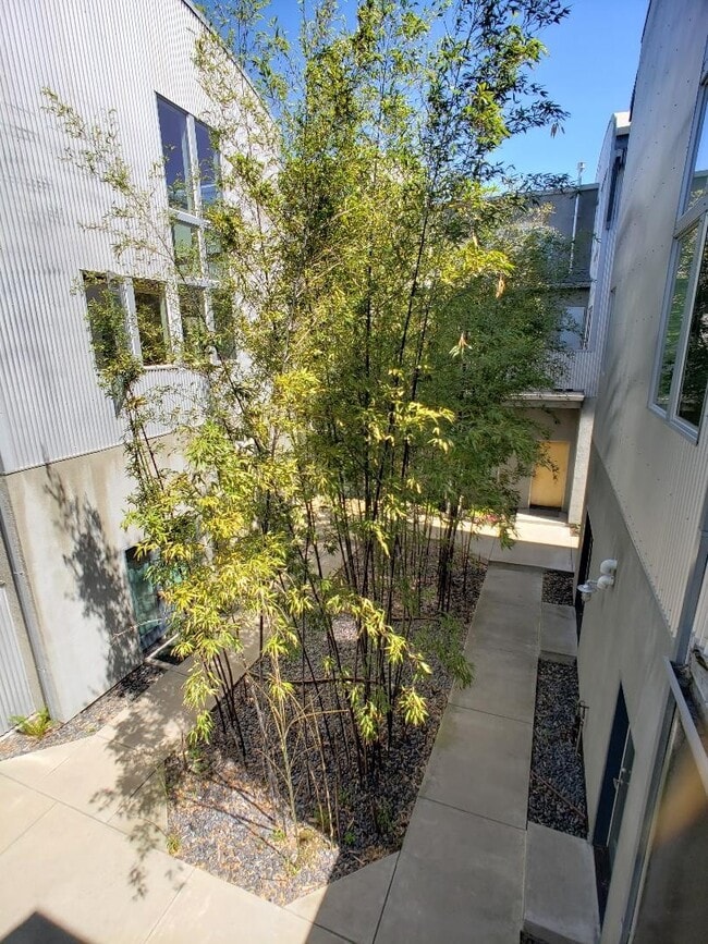 Building Photo - Professionally Designed Modern Loft In Oak...