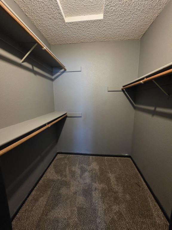 Building Photo - 987 Shadow Crest Cir