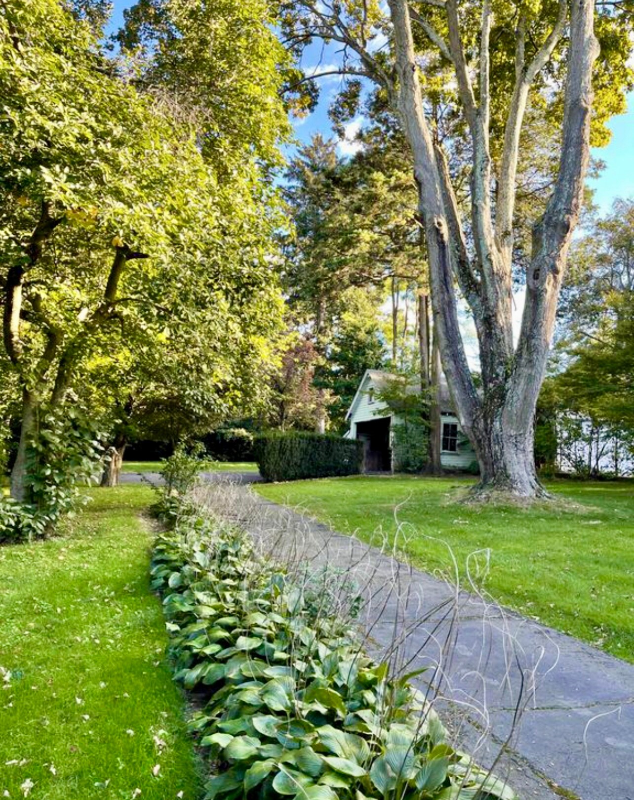 sprawling yard - 25 Lenox Ave