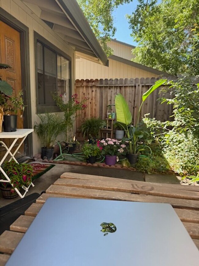 Building Photo - Wonderful secluded location in West Davis.