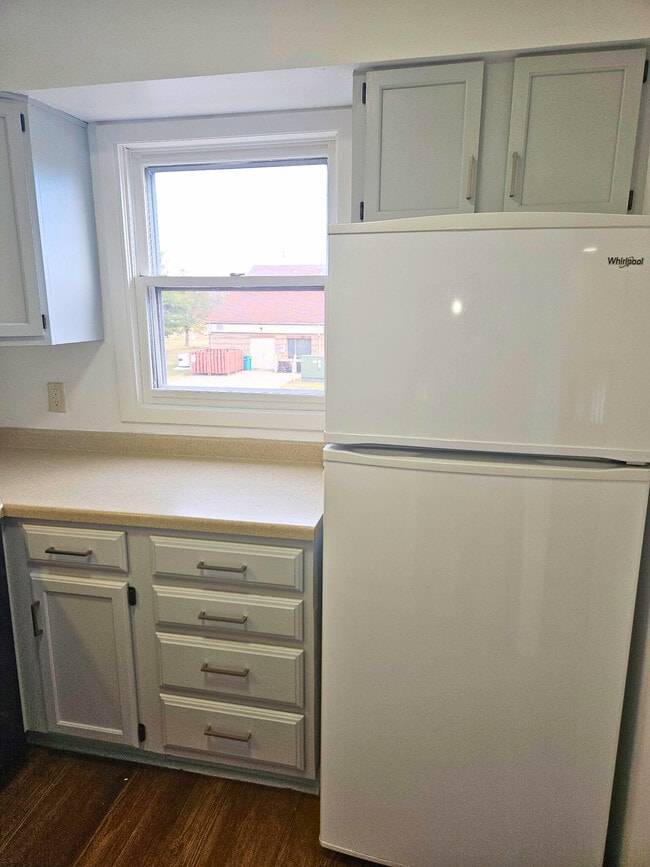 Building Photo - 705 Willow Run St