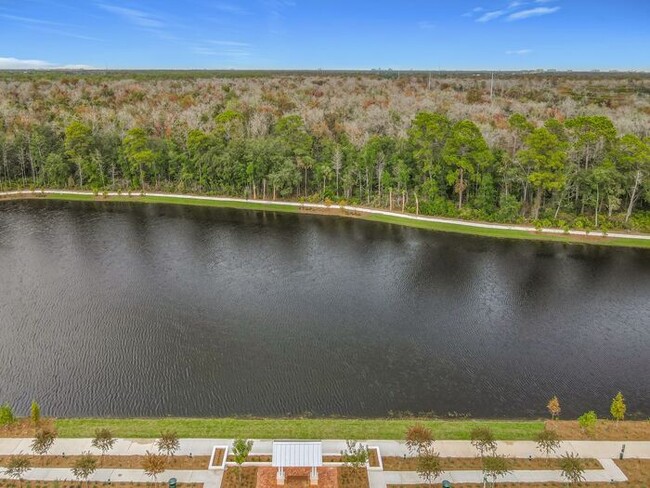 Building Photo - Brand New Luxury Town House in Island Village a Celebration, FL maintenance free community.