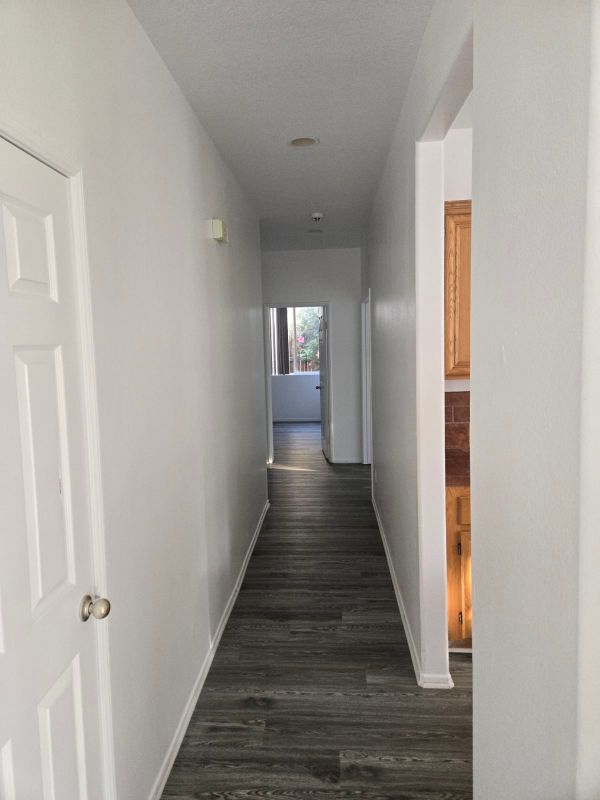 Building Photo - 421 Steiner Dr