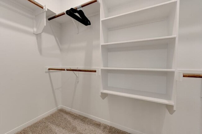 Building Photo - 3703 McCleland Crk Trl