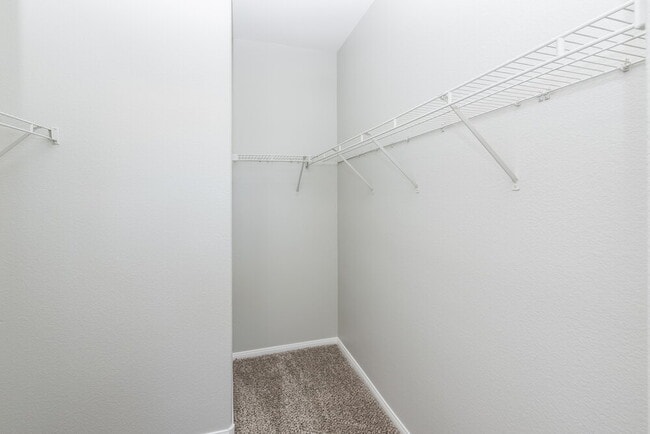 Building Photo - 8257 Begonia Blush Dr