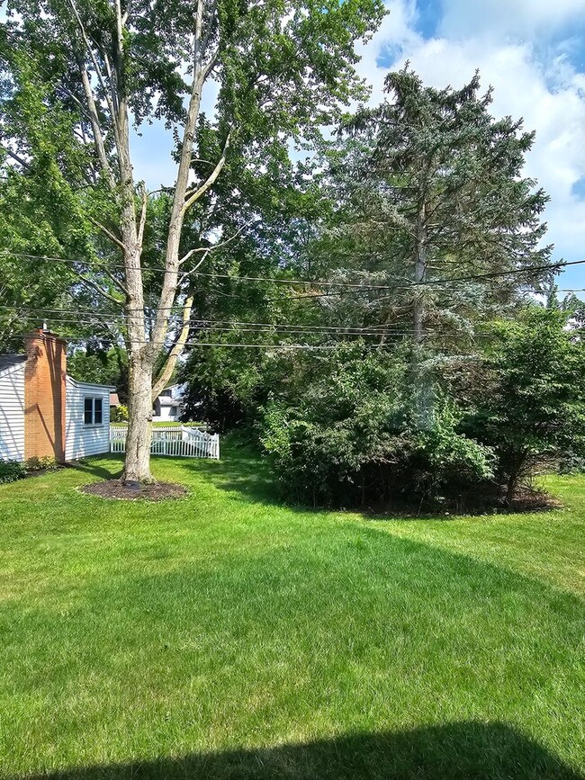 Building Photo - Spacious and bright BG Home