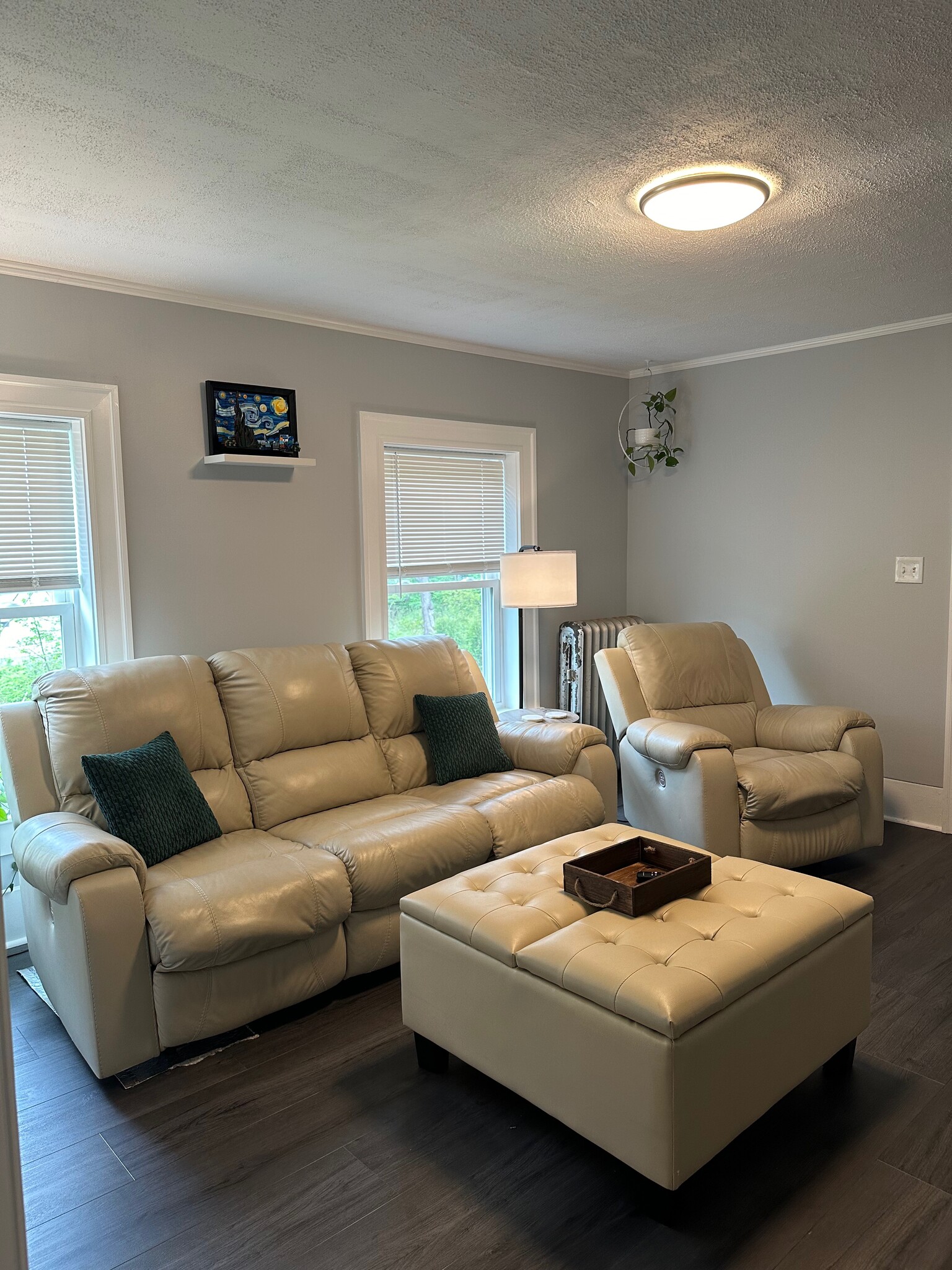 Living Room - 14 Central St