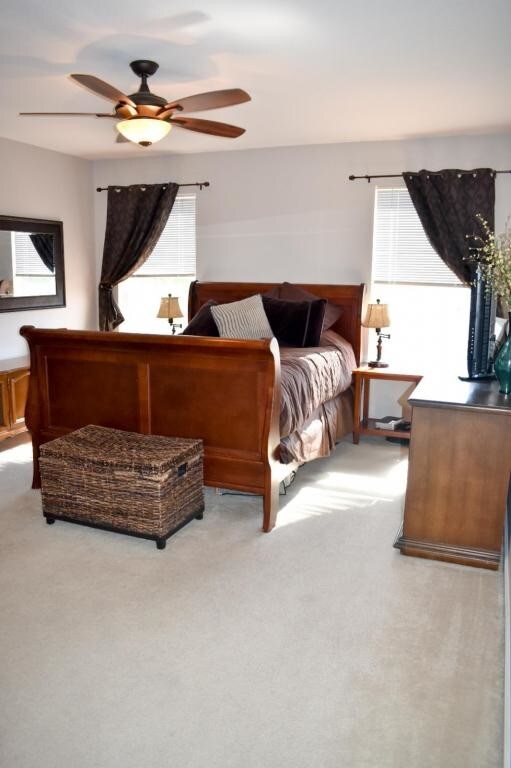 Building Photo - 14 Pierce St.