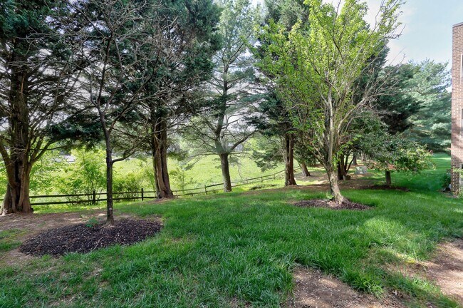 Building Photo - 2 BR/2 BA Garden Level Condo