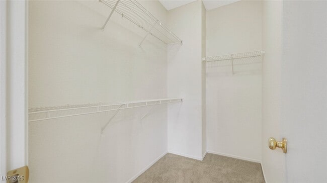 Building Photo - 2633 Spider Cactus Ct