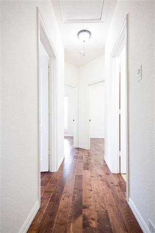 Building Photo - 1029 Janus Dr