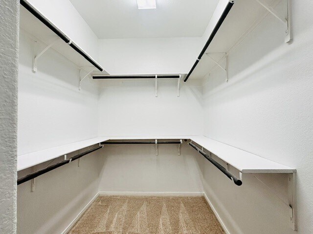 Building Photo - 18519 Cypress Steppe Ln
