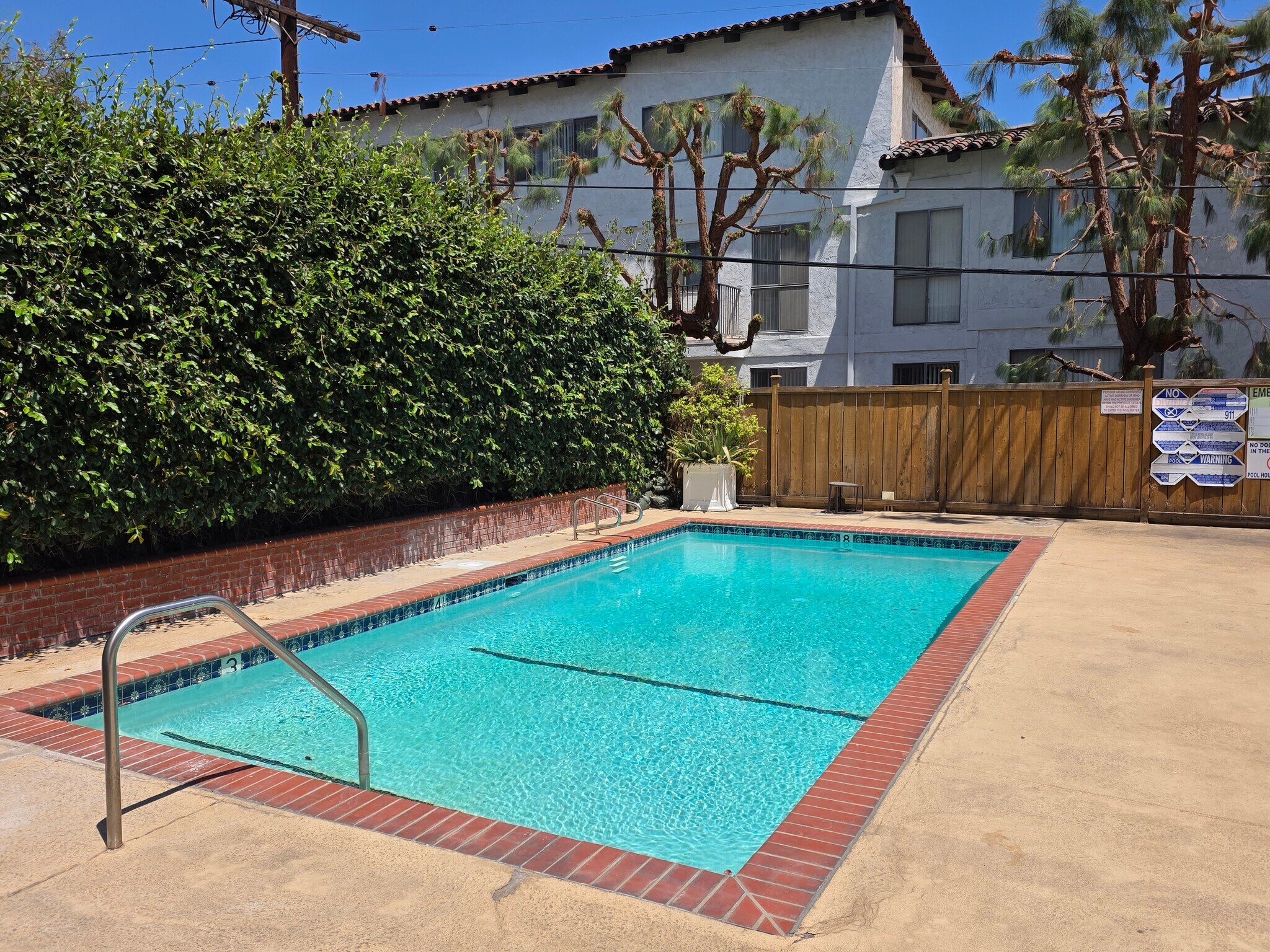 Pool - 1222 N Olive Dr