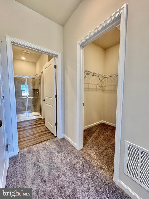 Building Photo - 19 Trout Lily Dr