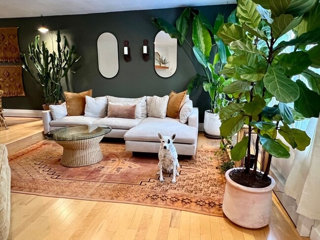 Primary Photo - Available in July! Pet Friendly Fully Furn...