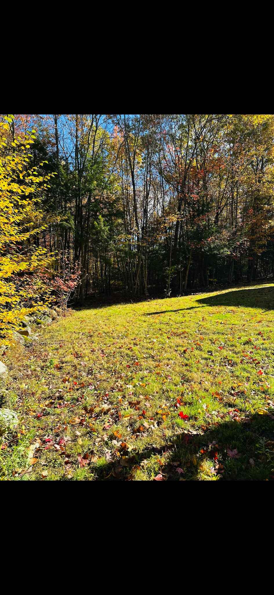 Building Photo - 631 Prospect Mountain Rd