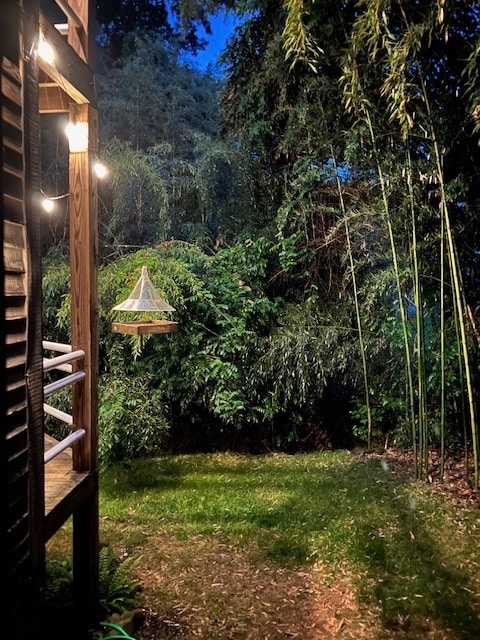 back yard from end deck - 130 E Longview St