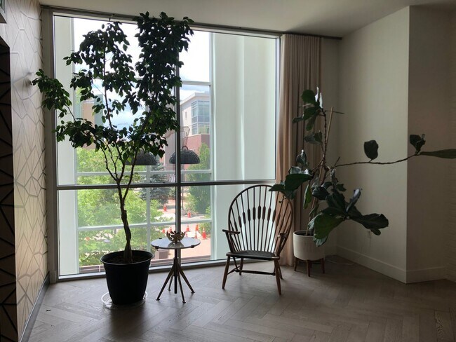 Building Photo - Two Bedroom Condo Available at The Peloton in Boulder