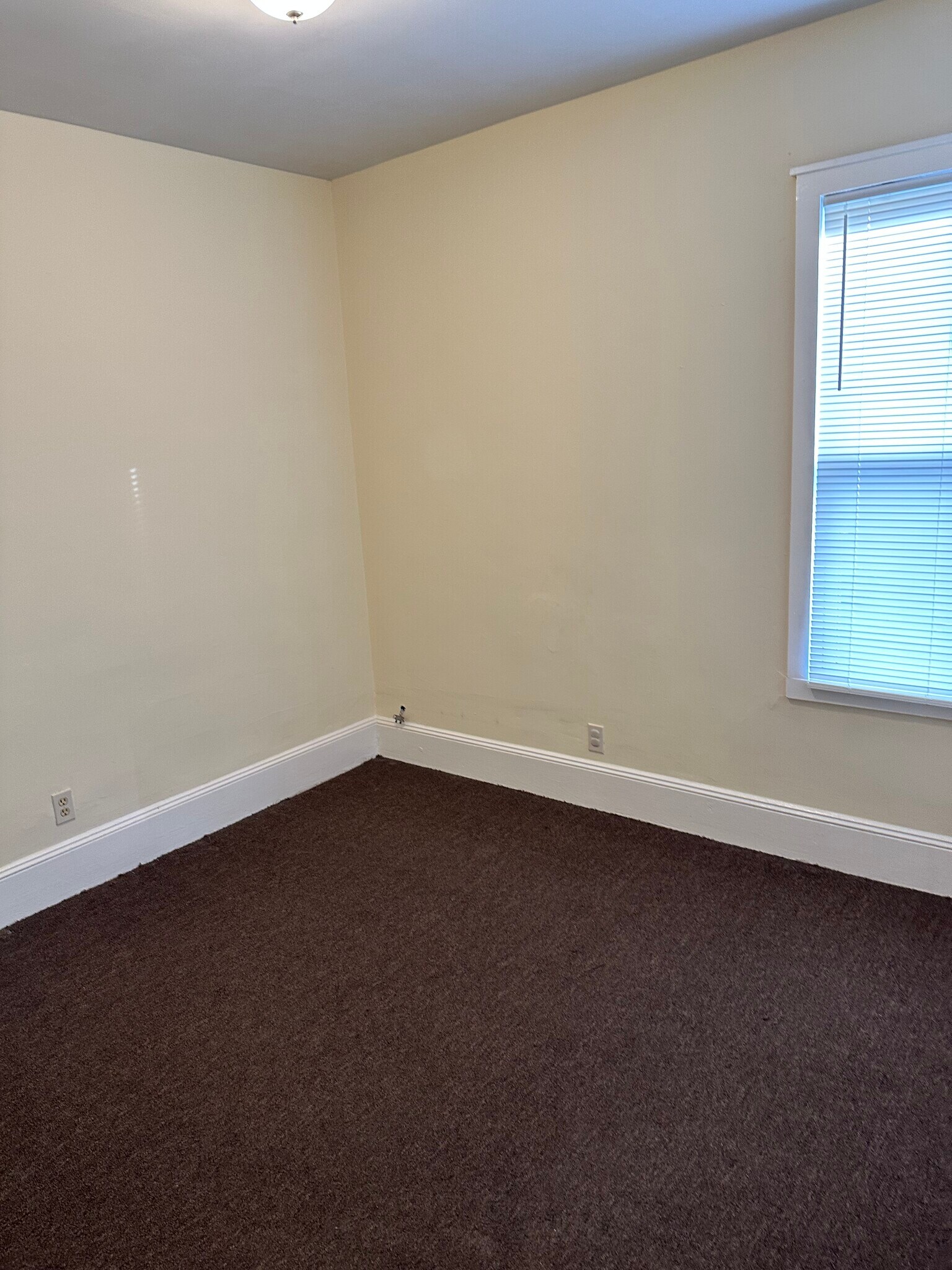 Building Photo - 810 Brock Ave