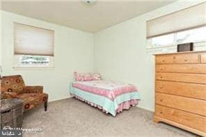 Building Photo - 908 Homberg Ave