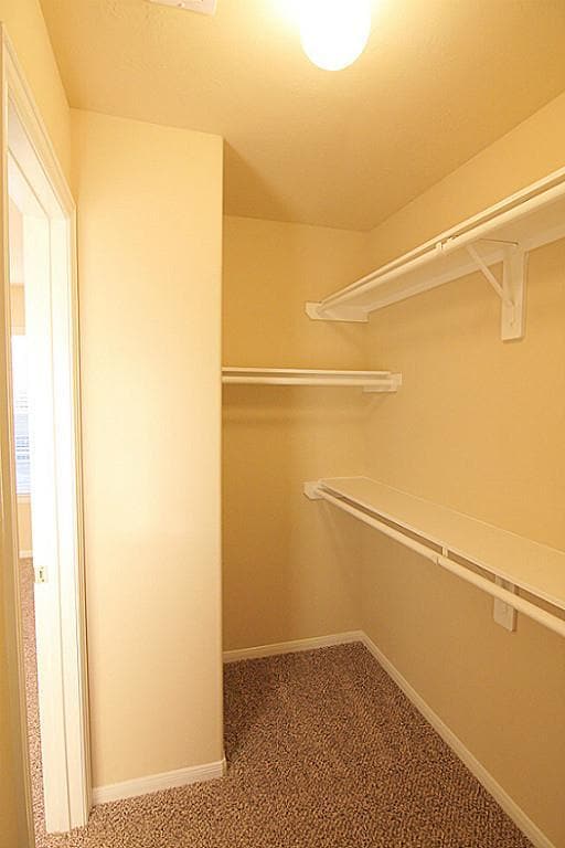 Building Photo - 8118 Malago Point Dr