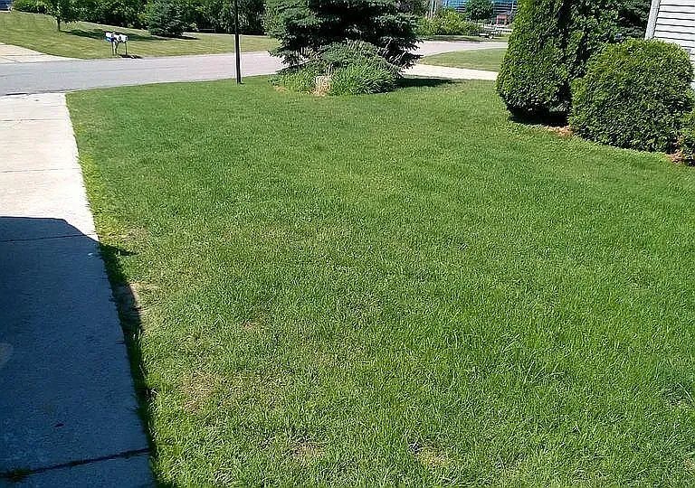 Building Photo - 9644 Meadowland Ct