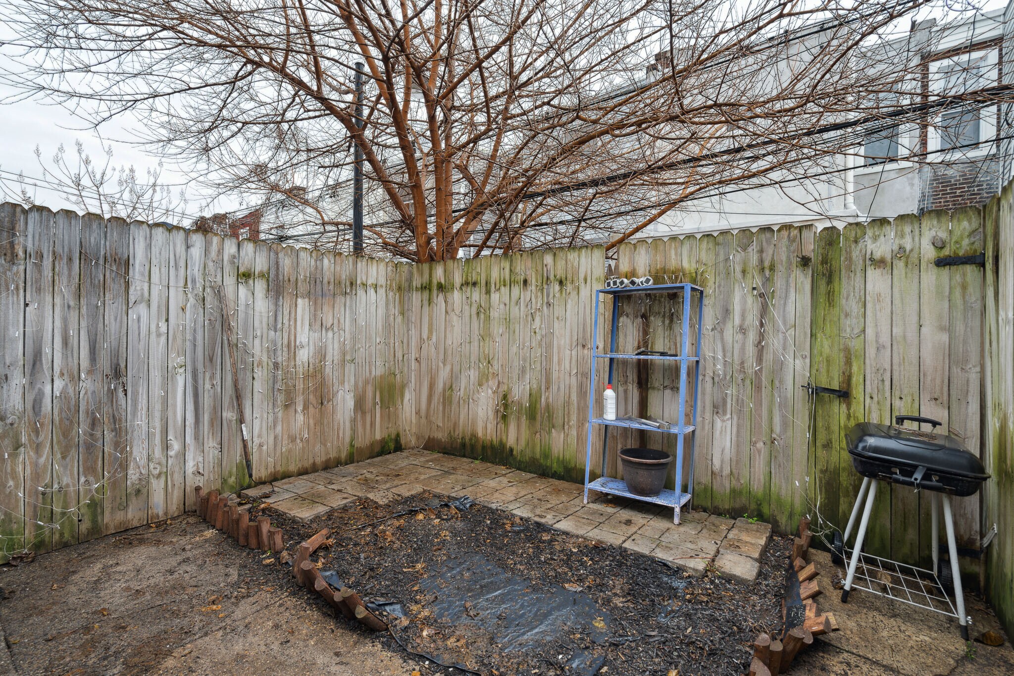 Building Photo - 3079 Tulip St