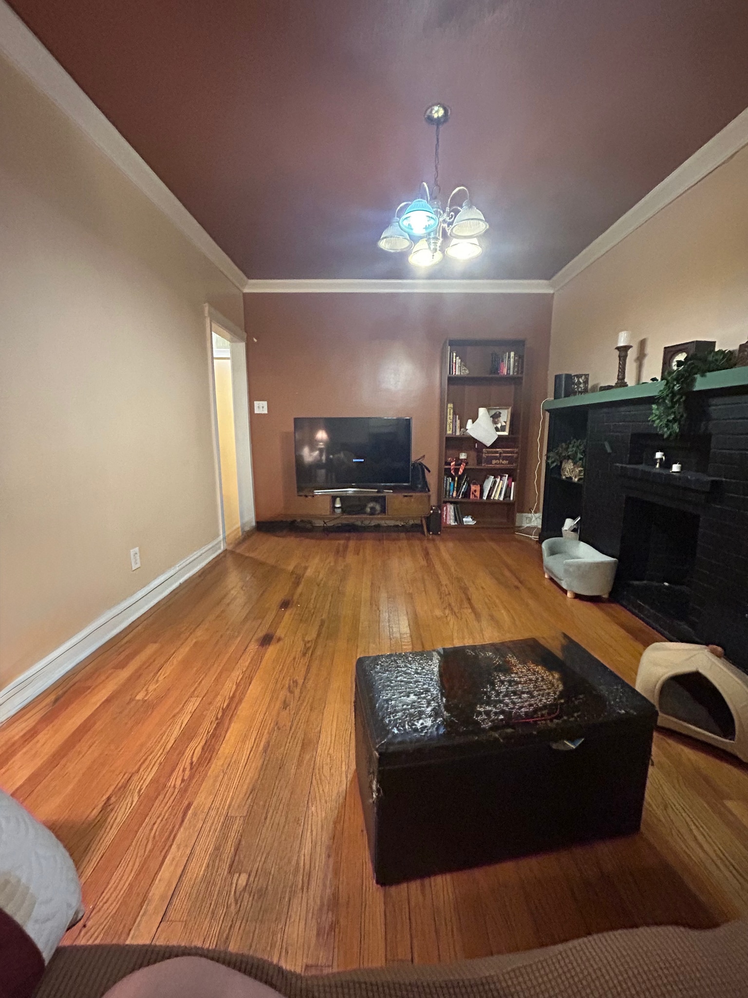 Living Room - 1502 N Springfield Ave