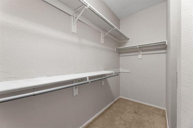 Building Photo - 10713 Alexandria Dr