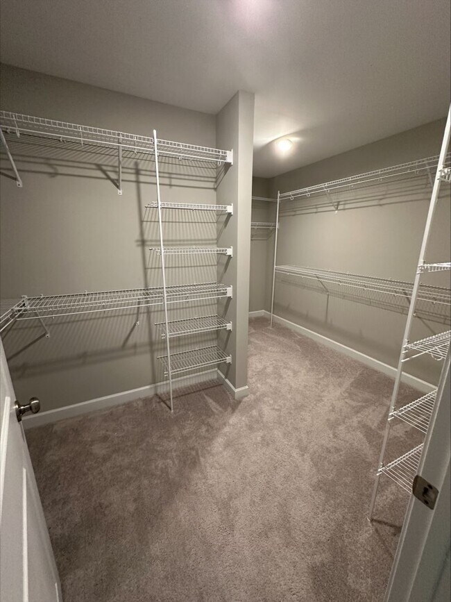 Building Photo - 559 Malachite Ln