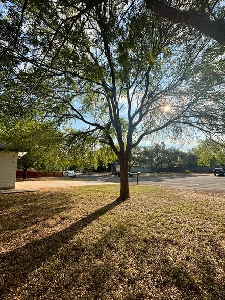 Front Yard - 7810 Copperas Dr