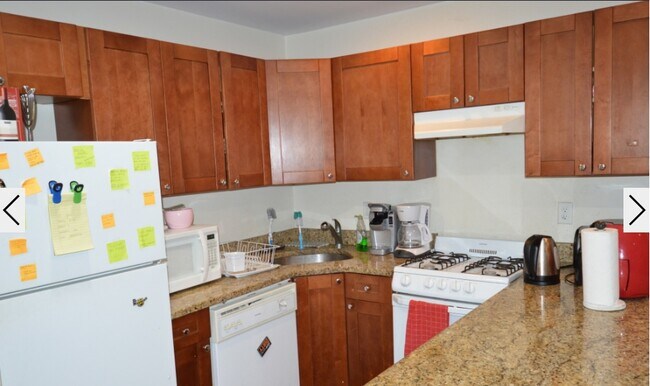 Building Photo - 62 Egmont St