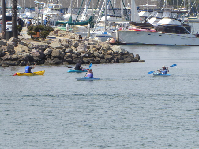 Kayakers across street in harbor - 220 Melrose Dr