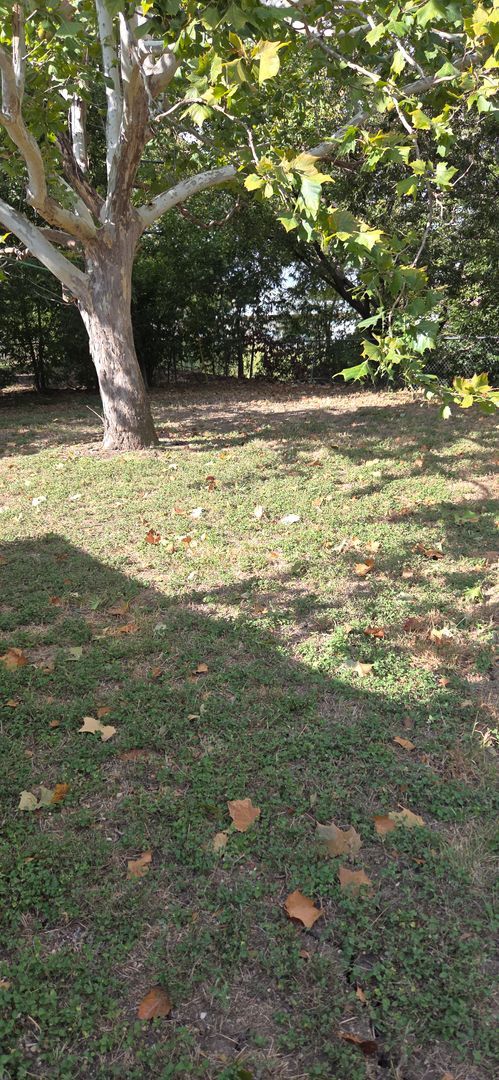 Building Photo - 2405 Kilgore Dr