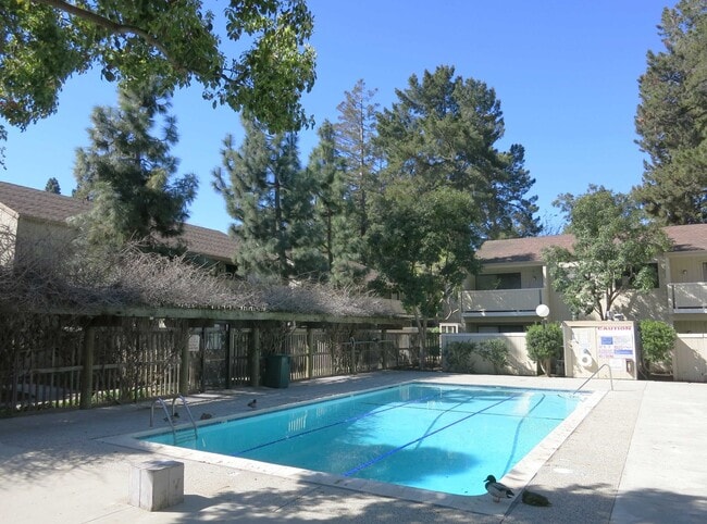 Building Photo - 1 bedroom 1 bath condo in heart of Silicon...
