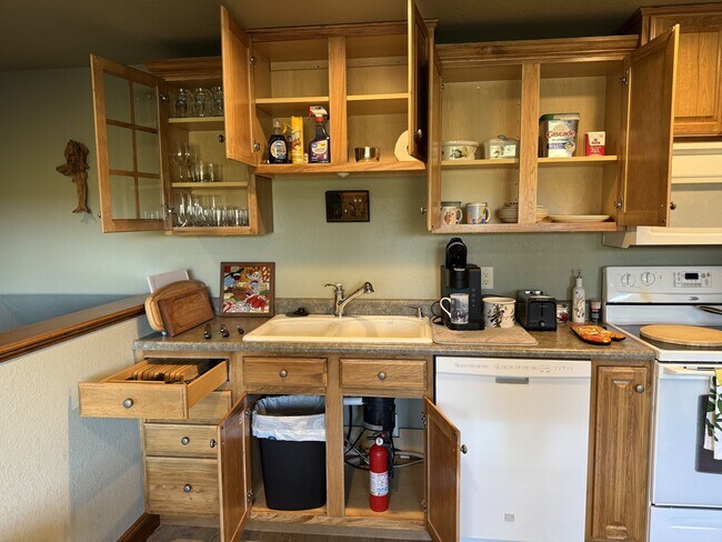 Building Photo - 13646 Twisted Pnes Trl