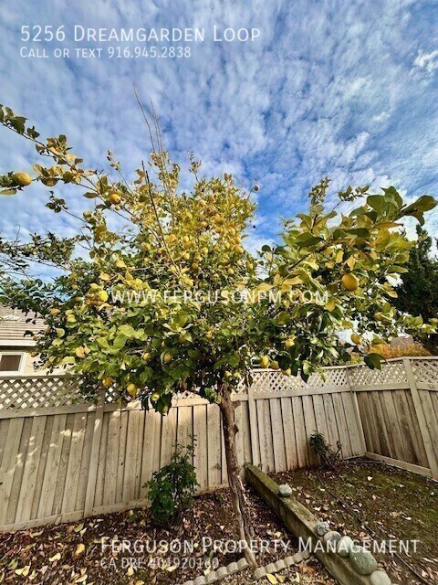 Building Photo - 5256 Dreamgarden Loop