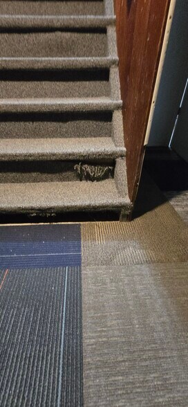 Building Photo - 2027 Glenbrook Dr