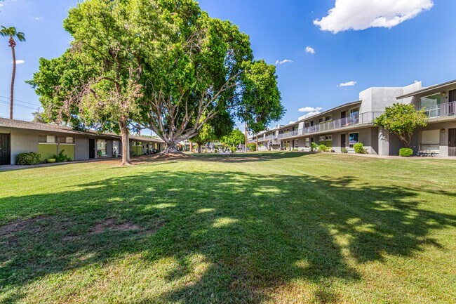 Building Photo - Spacious PHX Condo