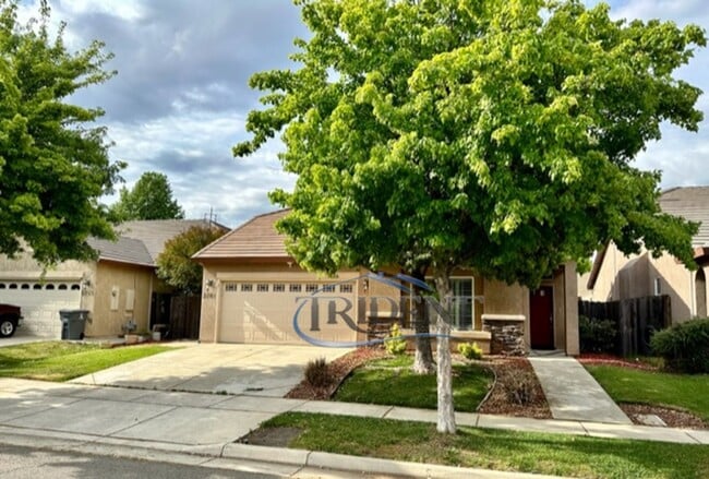 Building Photo - 2781 San Niccolo Dr