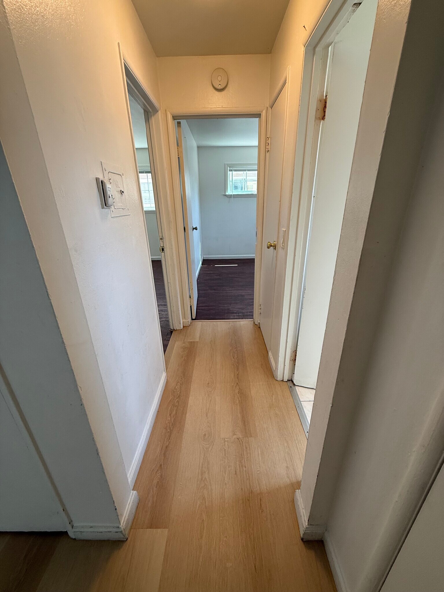 Building Photo - 862 Jeanne Ave