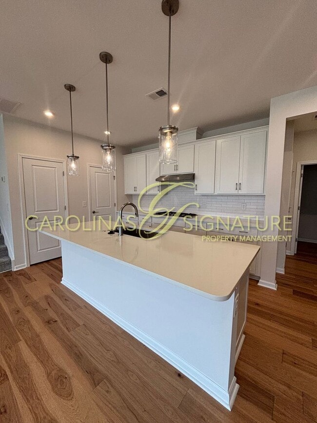 Building Photo - Brand New; Former Model Home; 3BR/2.5BA Townhouse