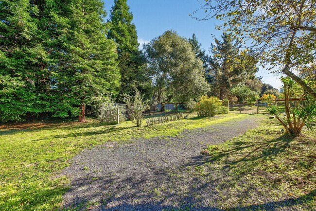 Building Photo - Charming 3-Bed / 2-Bath Retreat on Over an Acre in Sebastopol