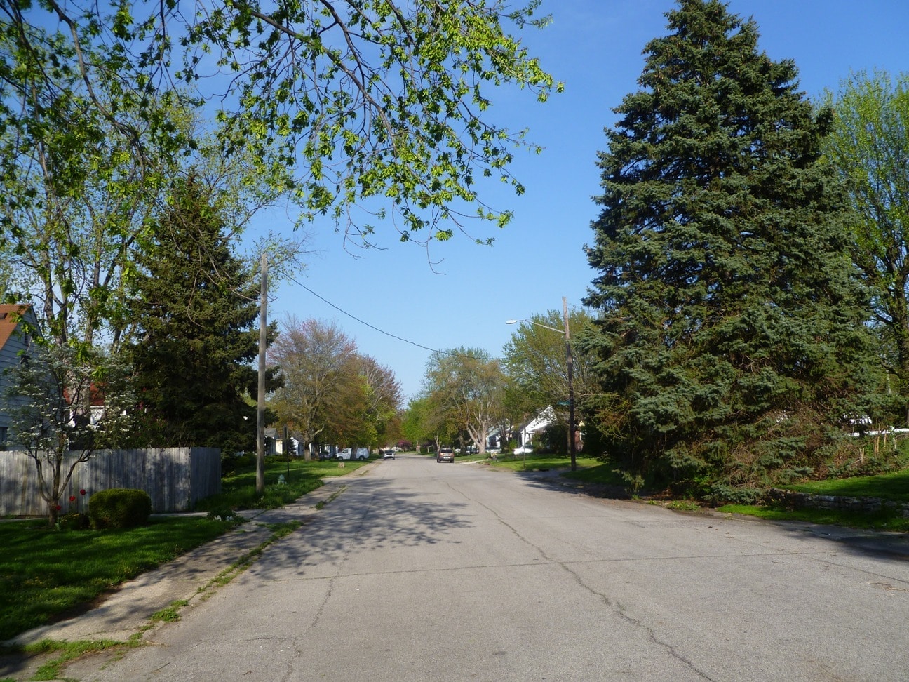 Street view - 2418 Dell Zell Dr