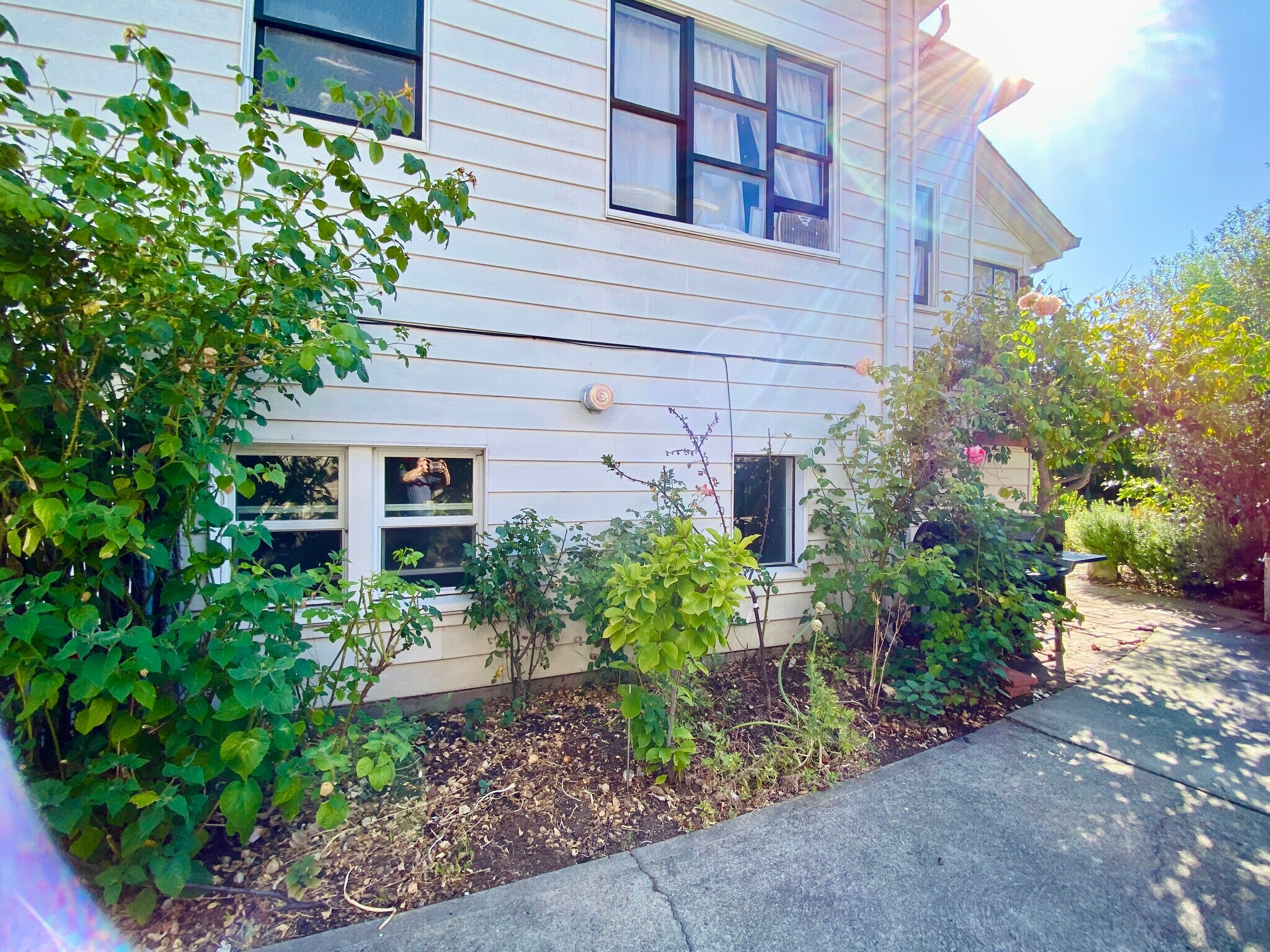 Building Photo - 1522 Willow Street Apt B