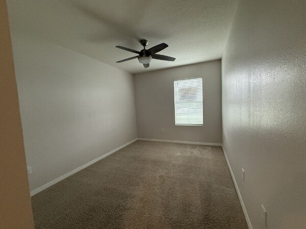 Building Photo - Large 4 Bedroom/2.5 Bathroom Home in Thompson Grove