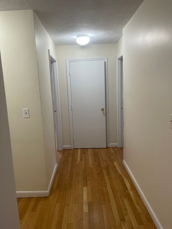 Building Photo - 9/1 Packards Corner near BU  Modern 2 bed Heat hw Included Garage Available