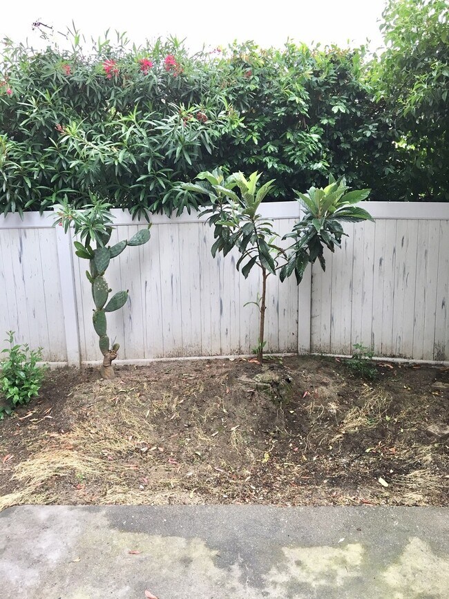 Building Photo - Great 2 bed, 1.5 Bath Condo with Garage in...
