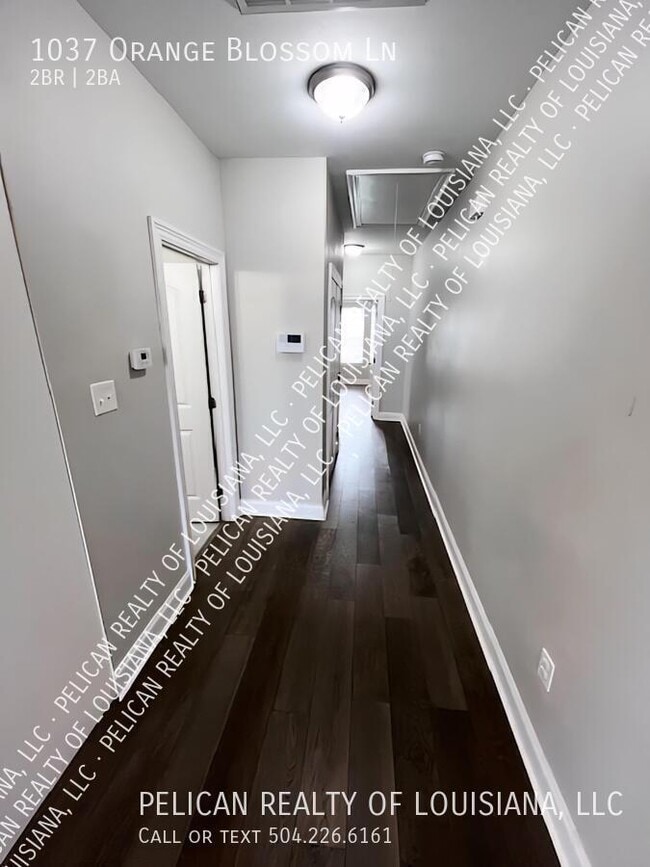 Building Photo - 1037 Orange Blossom Ln
