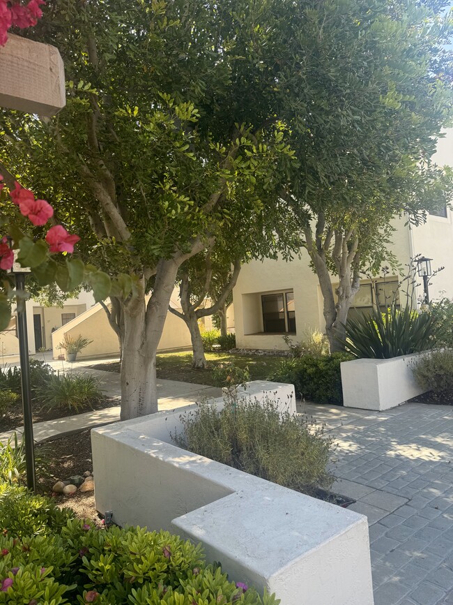 Building Photo - 16130 Avenida Venusto